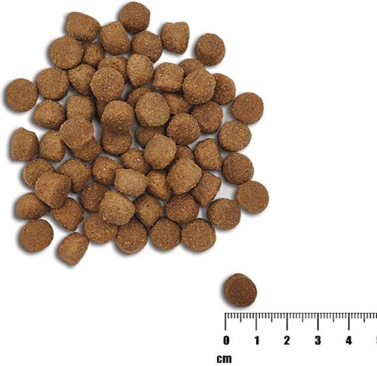 Healthy Grain 2kg Dry Food Gluten-Free for Puppies with Salmon, Tuna and Meat