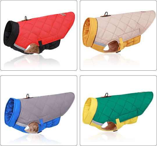 Red Dog Coat with 50cm Back Length