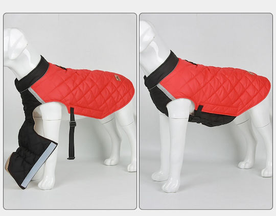 Yellow Dog Coat with 50cm Back Length