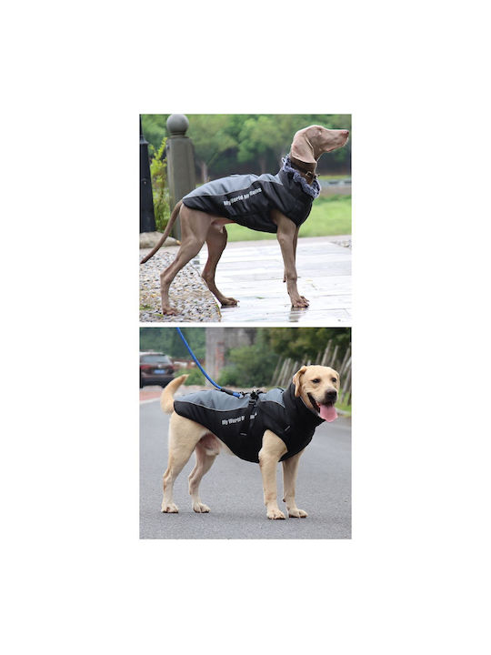 Animal Hundemantel Gray mit Rückenlänge 42 cm.