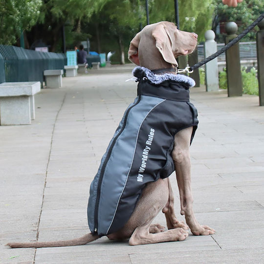 Animal Hundemantel Gray mit Rückenlänge 42 cm.