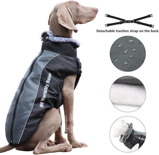 Animal Gray Dog Coat with 62cm Back Length