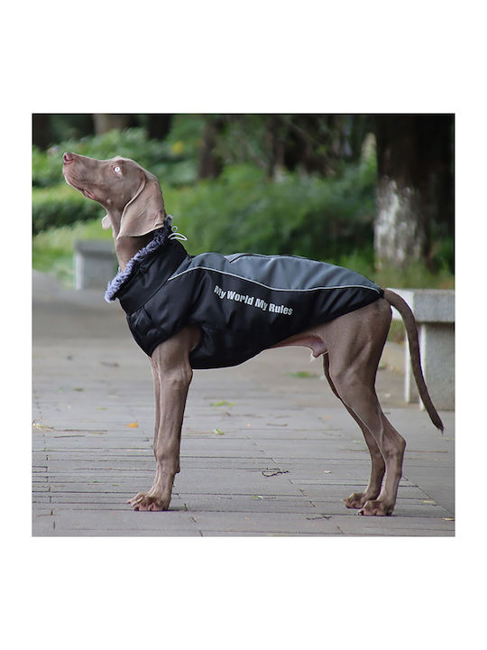 Animal Hundemantel Gray mit Rückenlänge 62 cm.