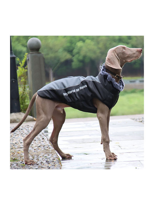 Animal Hundemantel Gray mit Rückenlänge 62 cm.