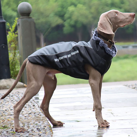 Animal Gray Dog Coat with 62cm Back Length