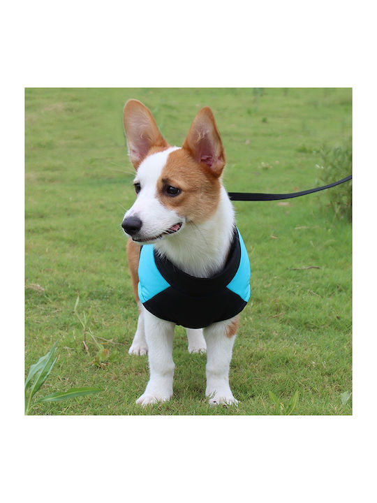 Animal Blue Dog Coat with 31cm Back Length