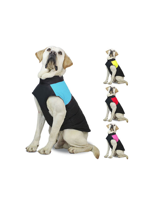 Animal Blue Dog Coat with 52cm Back Length