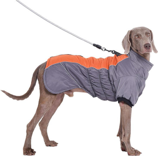 Animal Orange Waterproof Dog Coat with 32cm Back Length