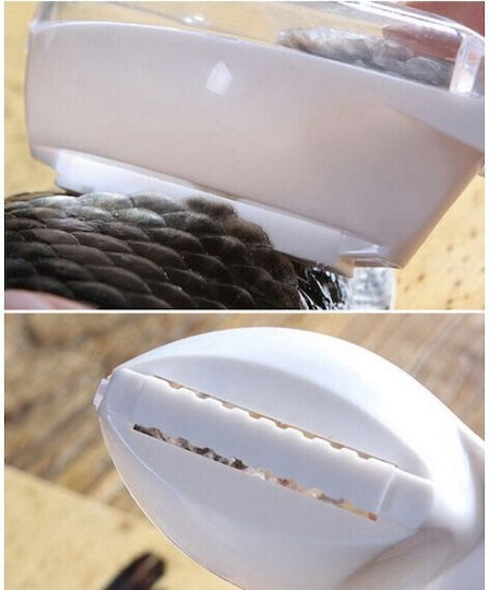 Alista Home Fish Peeler Made of Plastic
