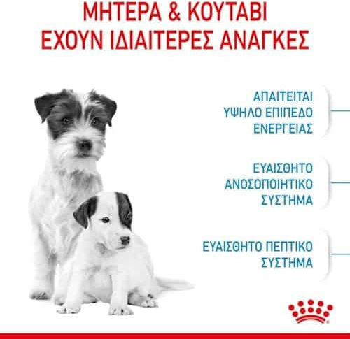Royal Canin Starter Mother & Babydog Mini 1kg Dry Food for Small Breed Puppies with Poultry and Rice