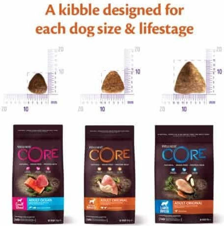 Wellness Core Grain Free Adult Ocean Salmon & Tuna 10kg Dry Food Grain-Free for Adult Dogs with Salmon and Tuna