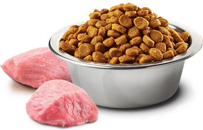 Farmina N&D Pumpkin Adult Medium & Maxi 2.5kg Dry Food Grain-Free for Adult Medium & Large Breed Dogs with Chicken, Pomegranate and Pumpkin