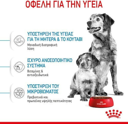 Royal Canin Starter Mother & Babydog Medium 4kg Dry Food for Medium Breed Puppies with Chicken and Rice