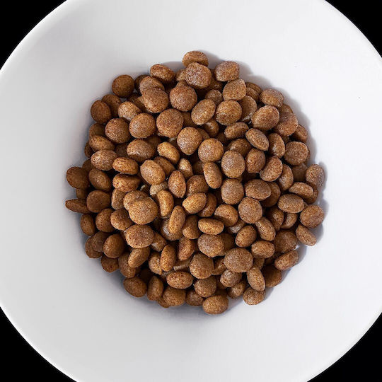 Dog Food 8kg Ξηρά Τροφή Σκύλων