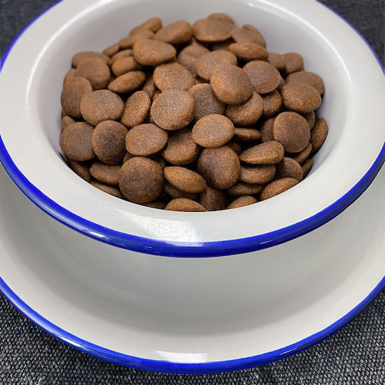 Dog Food 12kg Dry Food Grain-Free for Adult Medium & Large Breed Dogs with Fish
