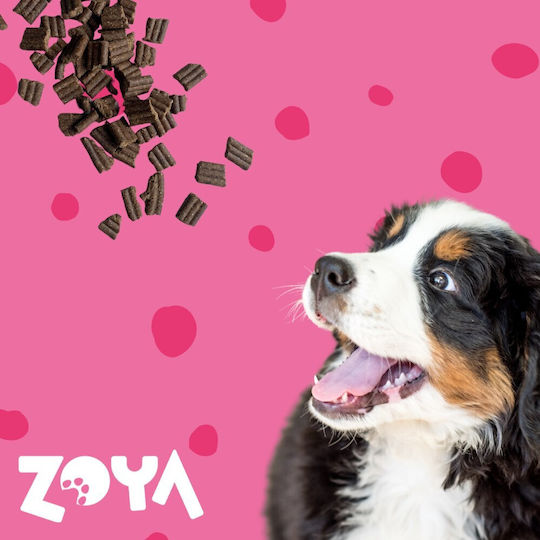 1kg Dry Food for Dogs with Beef