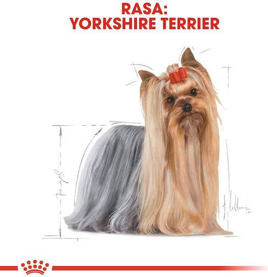 Royal Canin Adult Yorkshire Terrier 7.5kg Hrană Uscată pentru Câini Adulţi de Rase Mici cu Păsări de curte și Orez
