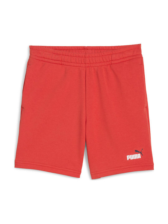 PUMA