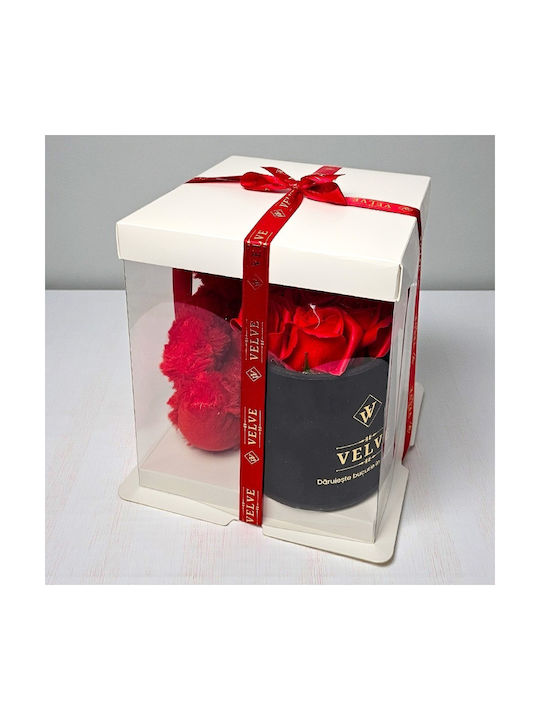 Pachet Special De Valentine Tommy Bear Aranjament 20 Cm 7 Trandafiri Săpun În Cutie Elegantă