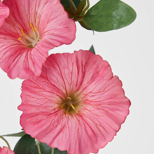 Florista Ipomoia 76cm Rosa Rosa Tiefe 12cm X Breite 8cm X Höhe 76cm Florista Ipomoia 76cm Rosa Rosa Tiefe 12cm X Breite 8cm X Höhe 76cm