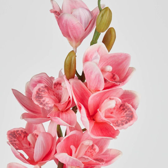 Florista Gladiola 75cm Rosa Rosa Tiefe 12cm X Breite 12cm X Höhe 75cm Florista Gladiola 75cm Rosa Rosa Tiefe 12cm X Breite 12cm X Höhe 75cm