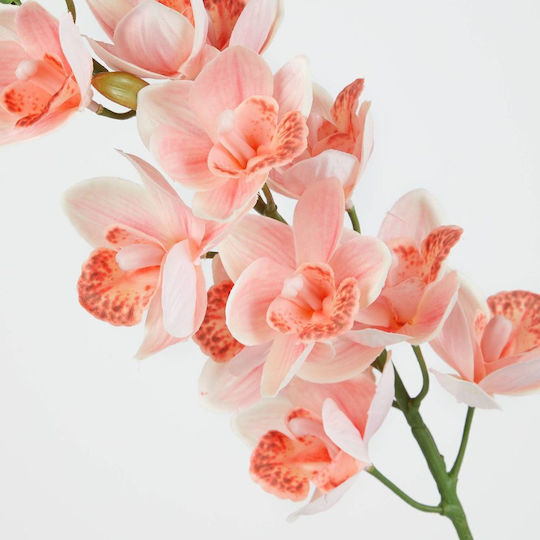 Florista Gladiola 75cm Hellorangene Helle Orange Tiefe 12cm X Breite 12cm X Höhe 75cm Florista Gladiola 75cm Hellorangene Helle Orange Tiefe 12cm X Breite 12cm X Höhe 75cm