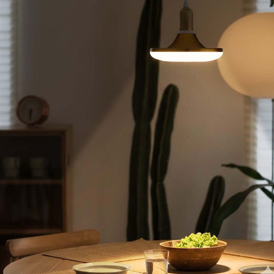Avizar Rundes LED-Lichtpanel 6W 83×83mm Ultra-Dünnes Design Goldweiß