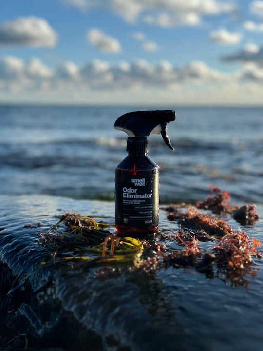 SmellWell Schuhpflegeprodukt Spray