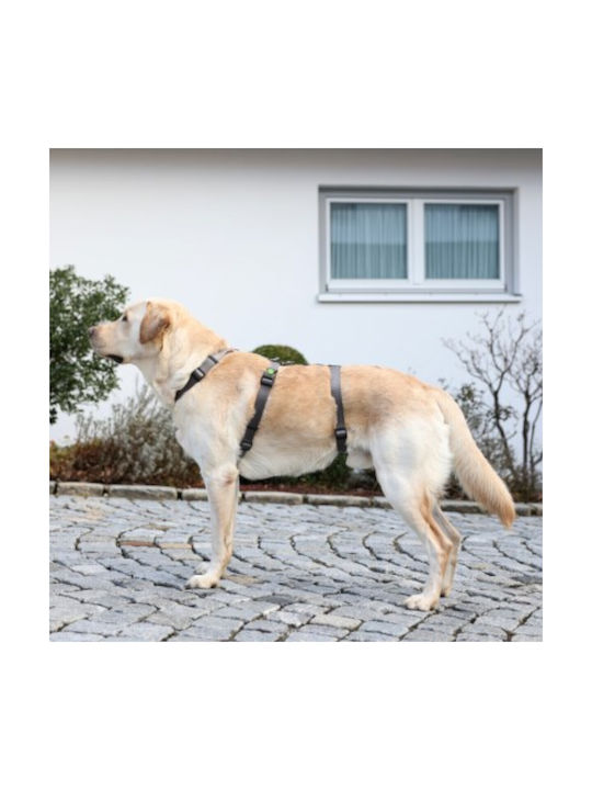 Kerbl Hundegeschirr Ausbildung Panic Harness Miami Grau 20mm x 48-70cm 080042