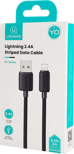 Usams Series USB-A zu Lightning Kabel Schwarz 2m (SJ694USB01)