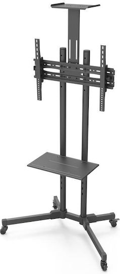 Focus Mount T014 Βάση Τηλεόρασης Δαπέδου έως 65" και 50kg