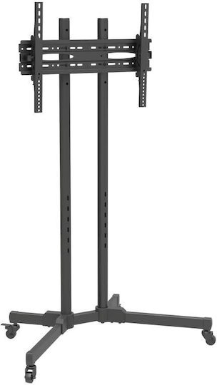Focus Mount Fixed T176 240033 Βάση Τηλεόρασης Δαπέδου έως 65" και 40kg