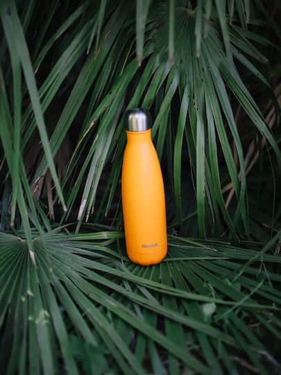 Qwetch Thermos Bottle Stainless Steel BPA Free 500ml Orange