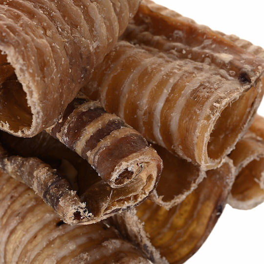 Λιχουδιές Σνακ Σκύλων Petitto Beef Trachea 1kg
