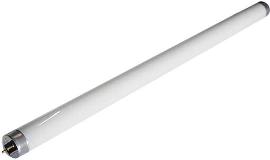 Geyer Leuchtstofflampe T8 Uv-a Bl365 30w