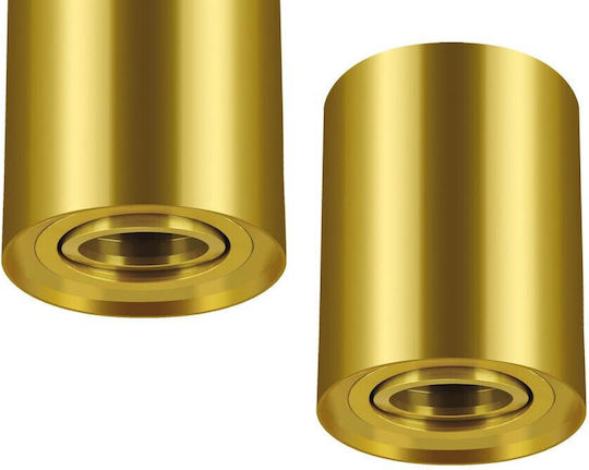 Struhm Einzel Spot mit Fassung GU10 in Gold Farbe