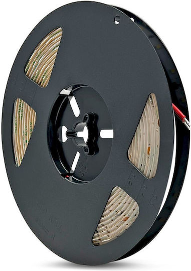 Geyer Αδιάβροχη Ταινία LED 24V Θερμό Λευκό Φως 5m