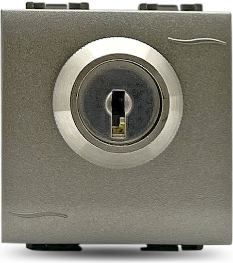 Geyer Recessed Rotary Switch Key without Frame Gray