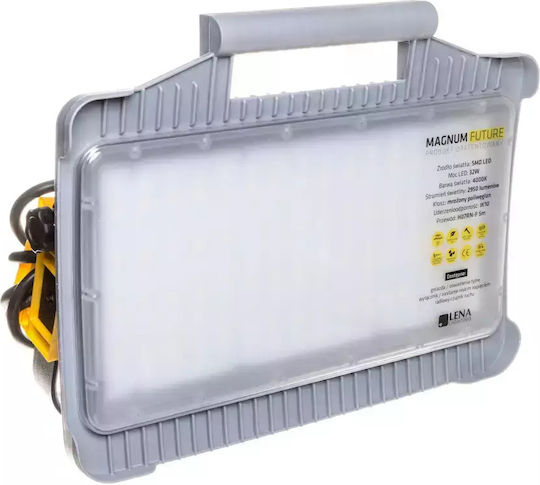 Lena Lighting Rezistent la apă Proiector LED 32W Alb Natural 4000K IP54