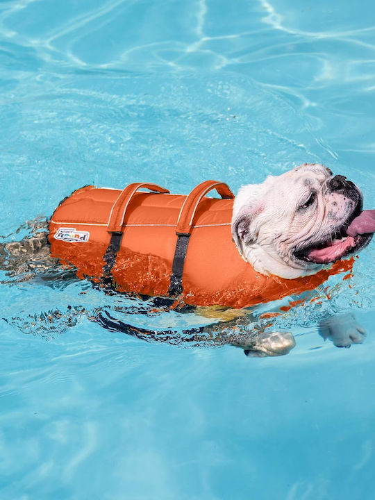Vestă De Salvare Pentru Câini Xl Outward Hound Granby Splash Greutate Minimă 38 Kg Portocalie Accente Reflectorizante Curele Reglabile Bandă Abdominală Mâner De Salvare
