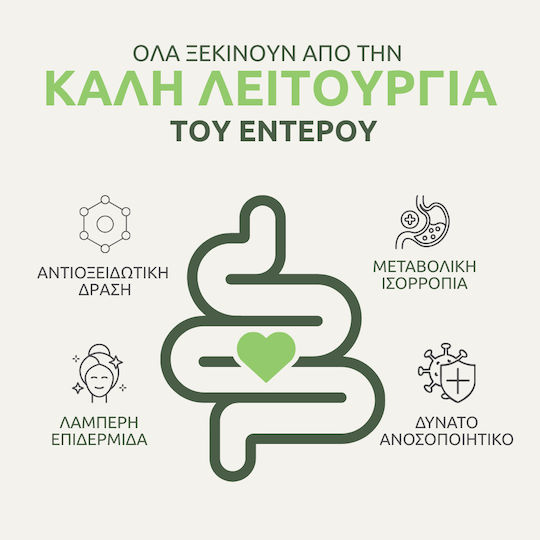 Aromavita Oil of Wild Oregano 10000mg 60 φυτικές κάψουλες