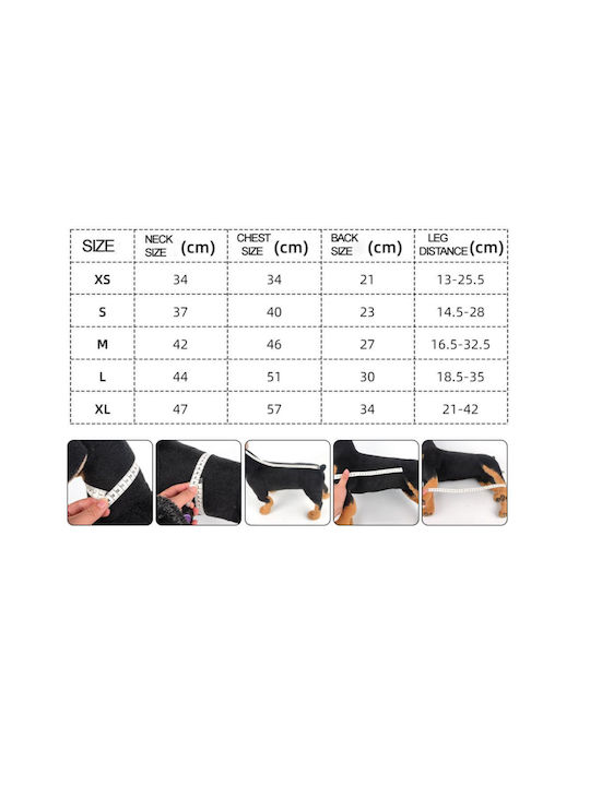 Pet Support Harness Back Length 21cm Chest Width 34cm Neck Width 34cm Back Length 21cm