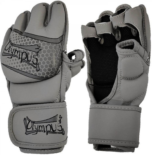 MMA Fight Gloves Olympus Plus HT Granite