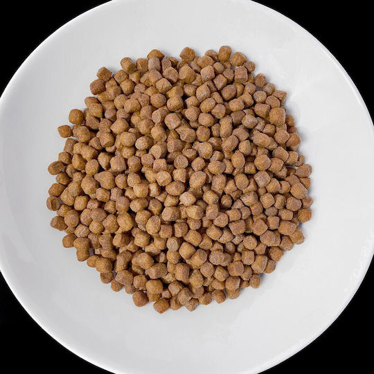 Dog Food 1.6kg Ξηρά Τροφή Σκύλων