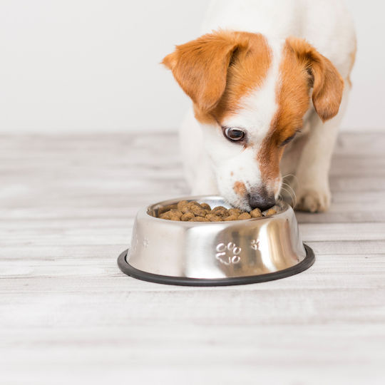 M.B.F. LOVIT 2.5kg Dry Food for Adult Small & Medium Breed Dogs with Calf