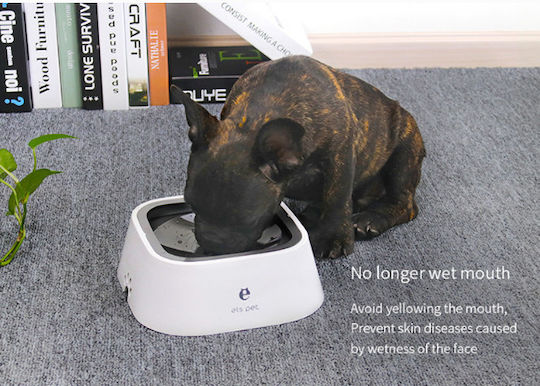 Automatic Plastic Bowl Water Slow Feeder for Dog & Cat 1lt in White Color