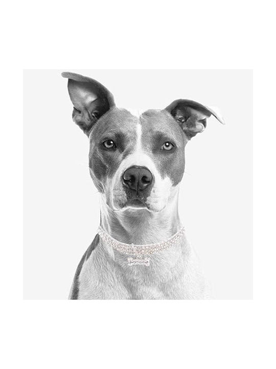 Animal Active Comfort Dog Collar in Silver color 30cm