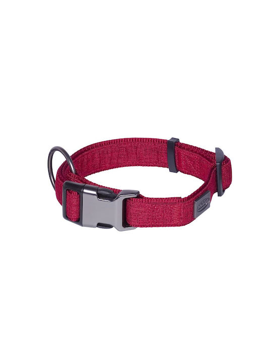 Nobby Dog Collar (Various Colors)