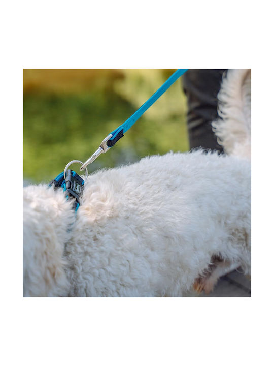 Nobby Περιλαιμιο Mesh Preno 40-55cm X 25/35mm Τιρκουαζ 0000004242