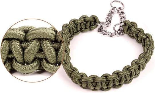 Animal Dog Leash/Lead Strap in Green color